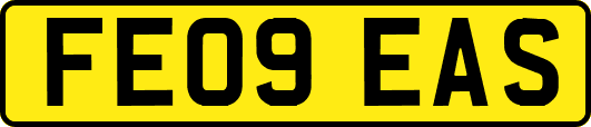 FE09EAS