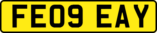 FE09EAY