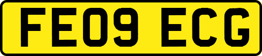 FE09ECG