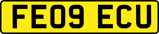 FE09ECU
