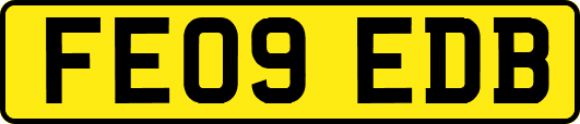 FE09EDB
