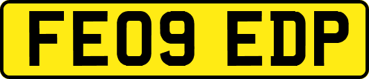 FE09EDP