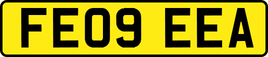 FE09EEA