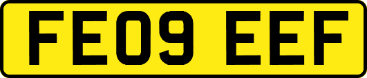 FE09EEF