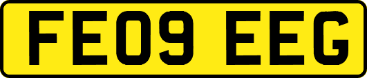 FE09EEG