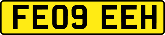 FE09EEH