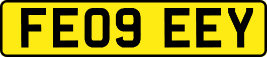 FE09EEY