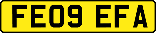 FE09EFA