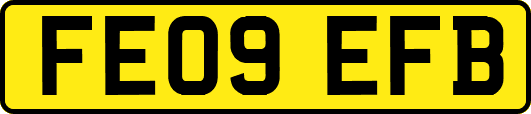 FE09EFB