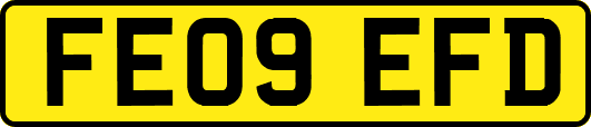 FE09EFD