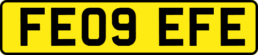FE09EFE