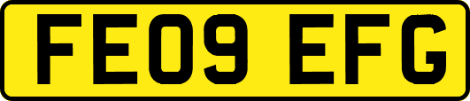 FE09EFG