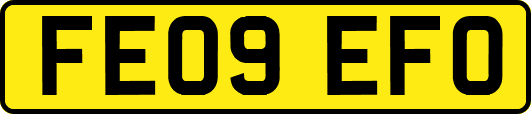 FE09EFO