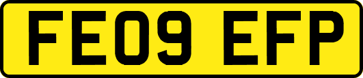 FE09EFP