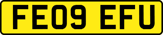 FE09EFU