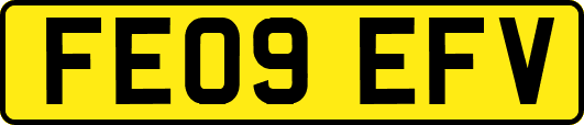 FE09EFV