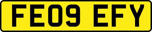 FE09EFY