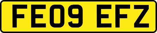 FE09EFZ