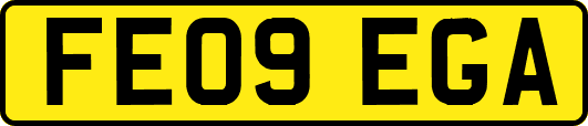 FE09EGA