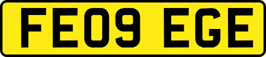 FE09EGE