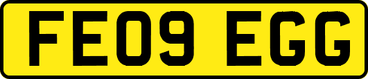 FE09EGG