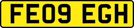 FE09EGH