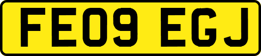 FE09EGJ
