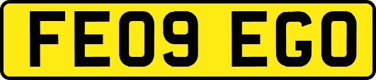 FE09EGO