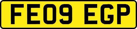 FE09EGP