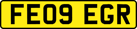 FE09EGR
