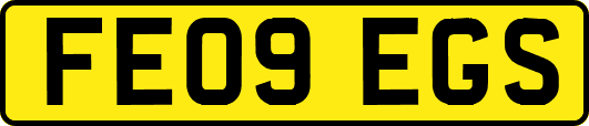 FE09EGS