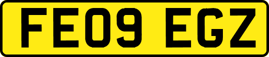FE09EGZ