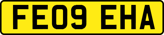 FE09EHA