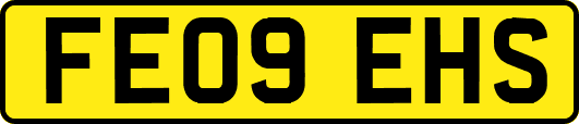 FE09EHS