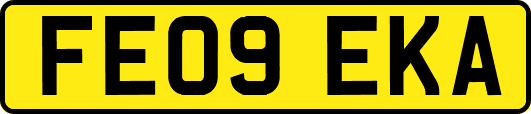 FE09EKA