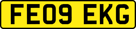 FE09EKG