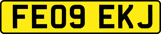 FE09EKJ