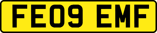 FE09EMF