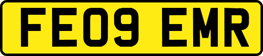 FE09EMR