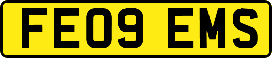 FE09EMS