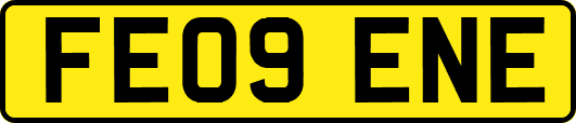 FE09ENE