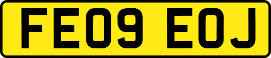 FE09EOJ