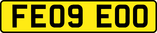 FE09EOO