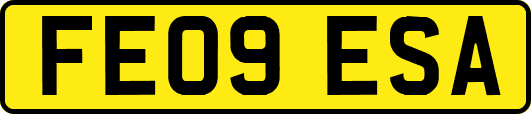 FE09ESA