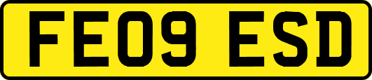 FE09ESD