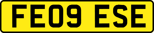 FE09ESE