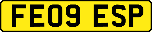 FE09ESP