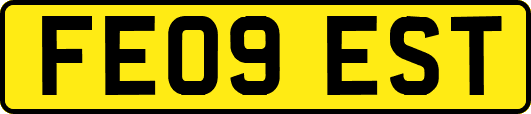 FE09EST