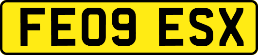 FE09ESX