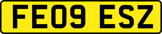 FE09ESZ